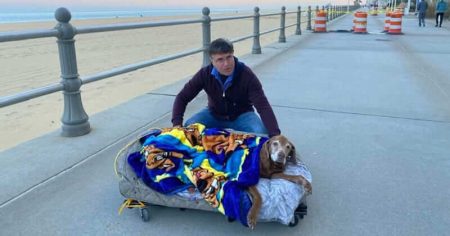 Man builds mobile bed for 16-year-old dog so she can enjoy beach one last time